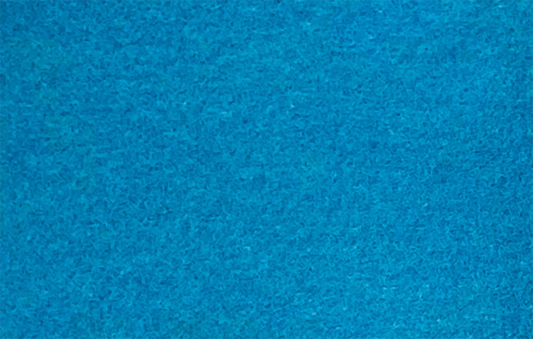 Excentr EDS blue pad 800 grit 55-35 (2)